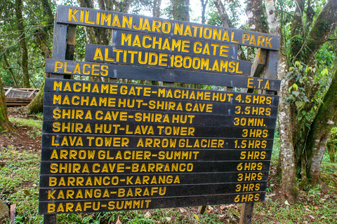 Machame 1800 m - Machame Camp 3000 m