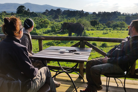 Ngorongoro Rhino Lodge