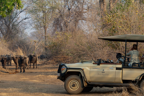 Parc national de Luangwa Sud - Lower Zambezi