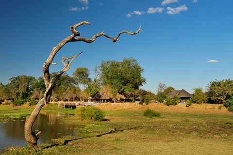 Lusaka - Parc national de Luangwa Sud