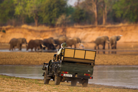 Livingstone - South Luangwa National Park
