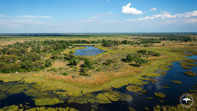 Le delta de l'Okavango est une destination idéale pour un safari sur-mesure au Botswana