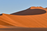 La vie au coeur du Namib