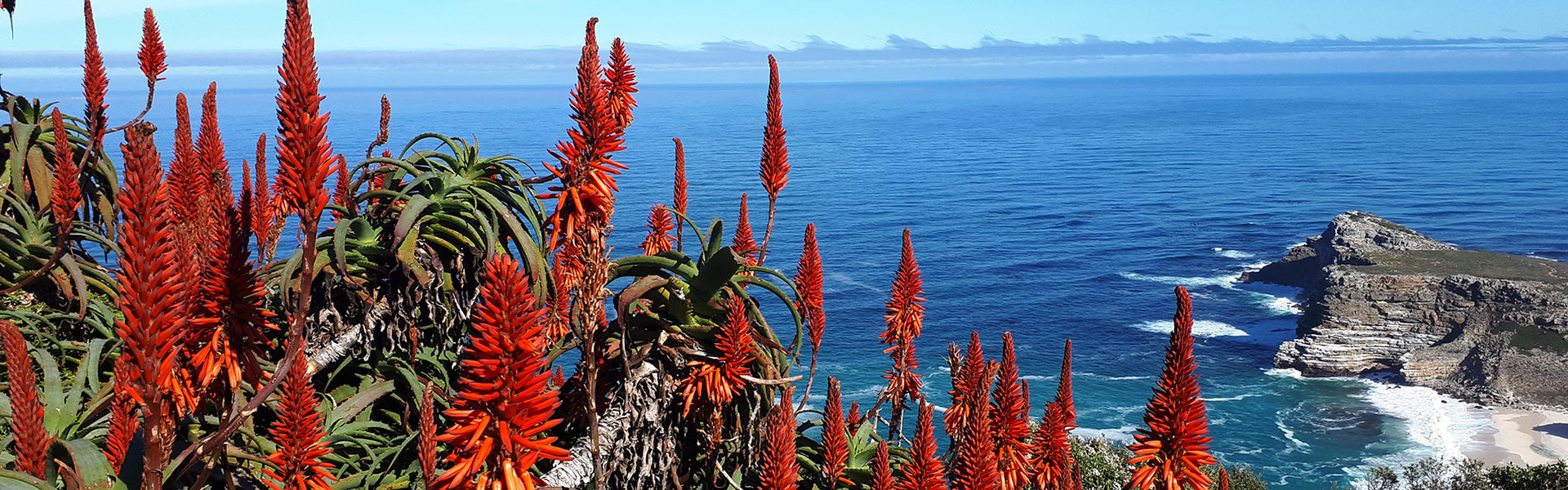 Route des jardins, Cap Algulhas et Hermanus | Sous l'Acacia