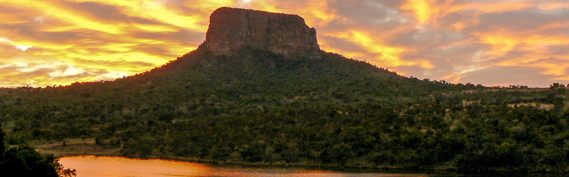 Waterberg et Madikwe | Sous l'Acacia