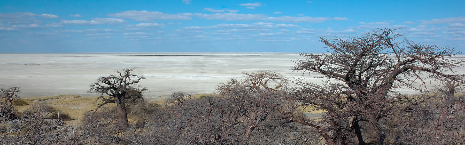 Réserve Makgadikgadi Pans | Sous l'Acacia