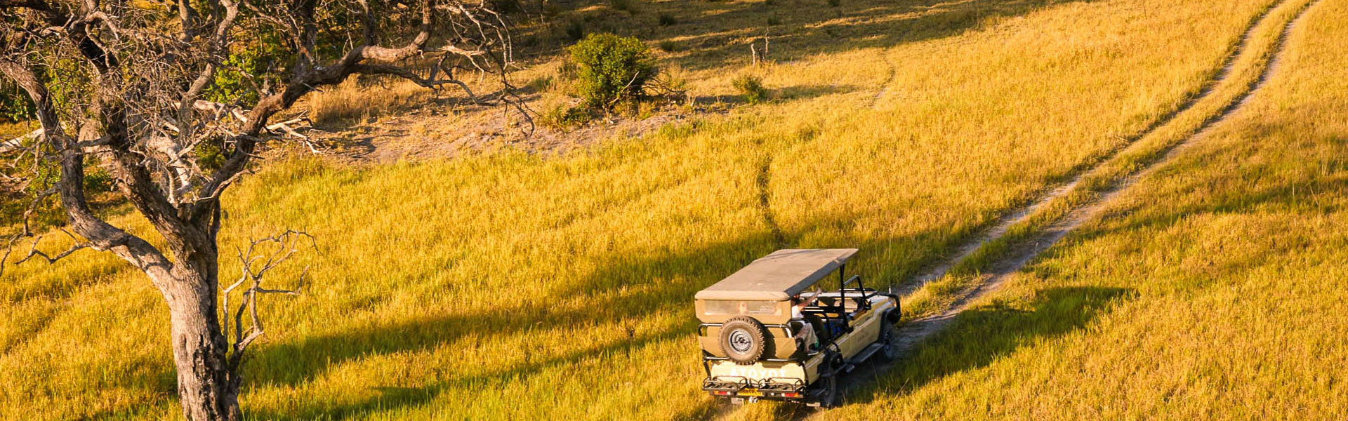 Un safari sur-mesure | Sous l'Acacia