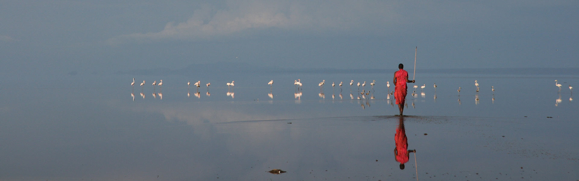 Lac Natron | Sous l'Acacia