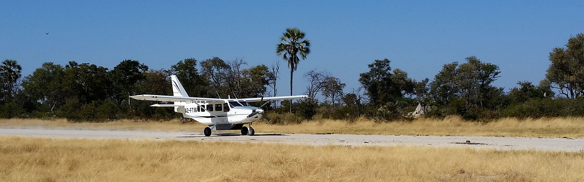 Vous partez en safari en Afrique, préparez-vous ! | Sous l'Acacia