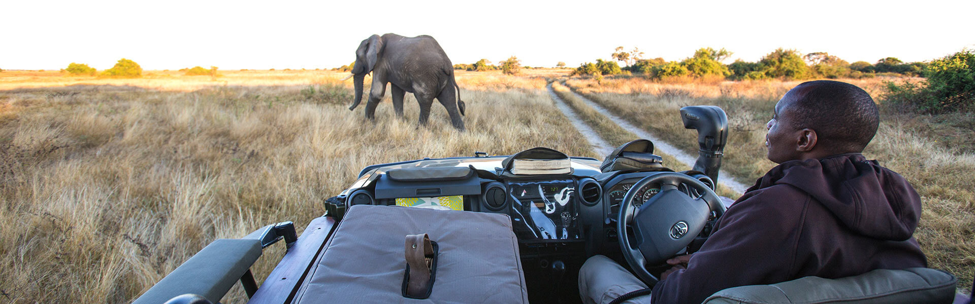 Comment choisir son safari au Botswana ? | Sous l'Acacia