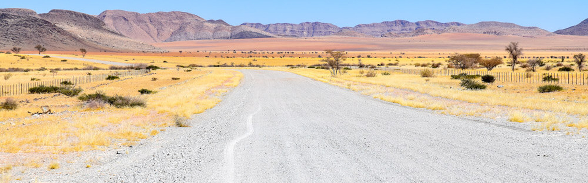 Voyage envoûtant en Namibie | Sous l'Acacia