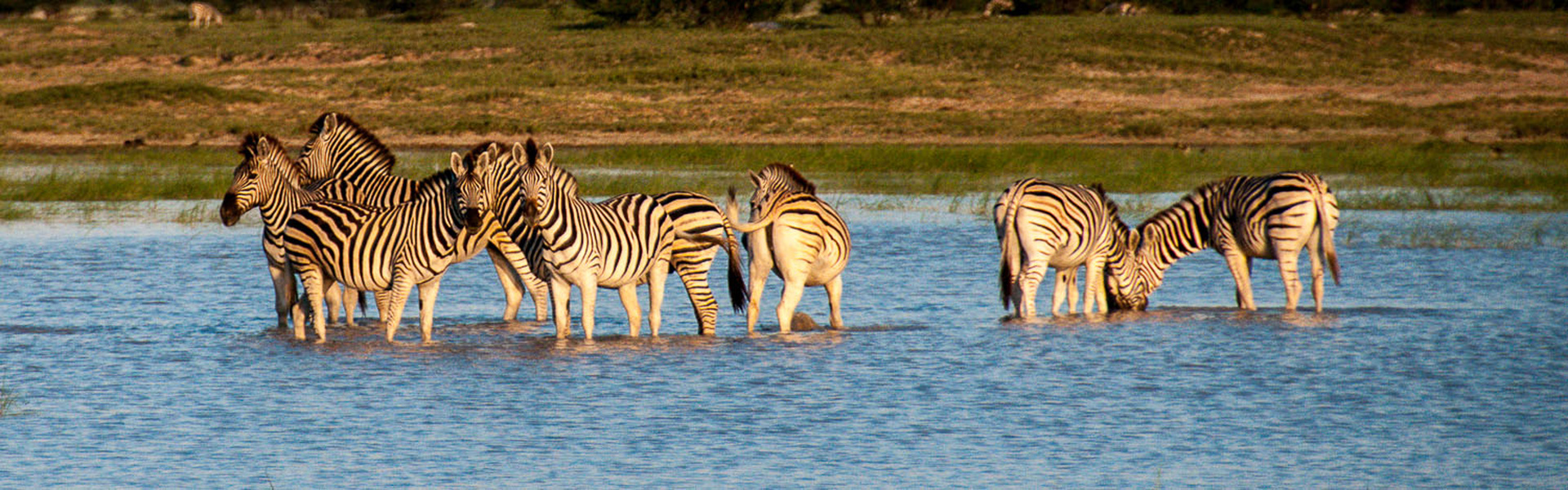 De l'Okavango à Chobe & Victoria Falls | Sous l'Acacia