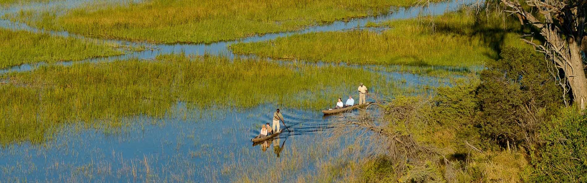 Désert du Kalahari & Delta de l'Okavango | Sous l'Acacia