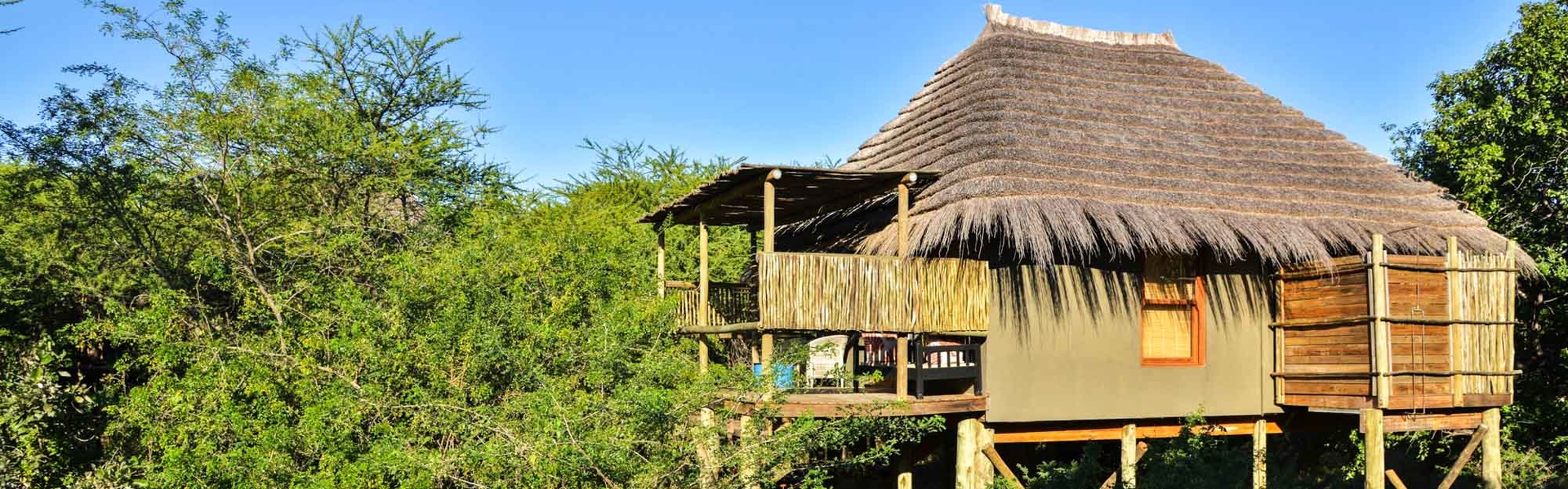 Dormez au Bakwena lodge au Botswana | Sous l'Acacia