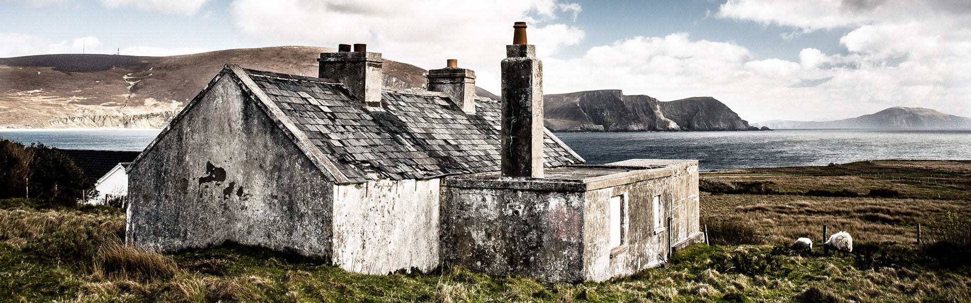 Irlande | Sous l'Acacia