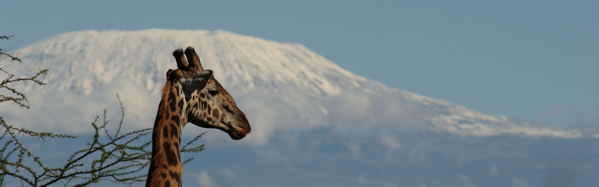 Faites un safari sur-mesure au Kenya | Sous l'Acacia