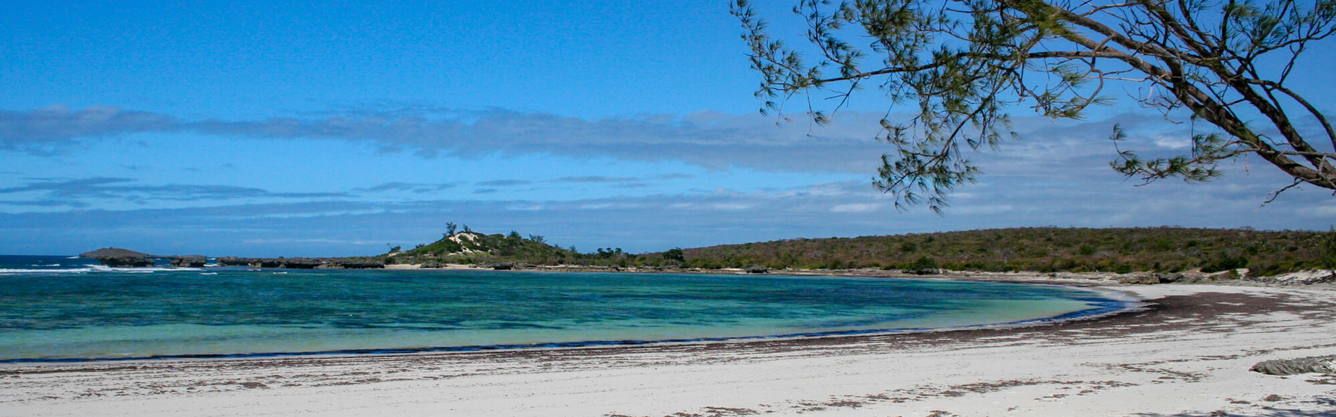 Île Sainte Marie | Sous l'Acacia