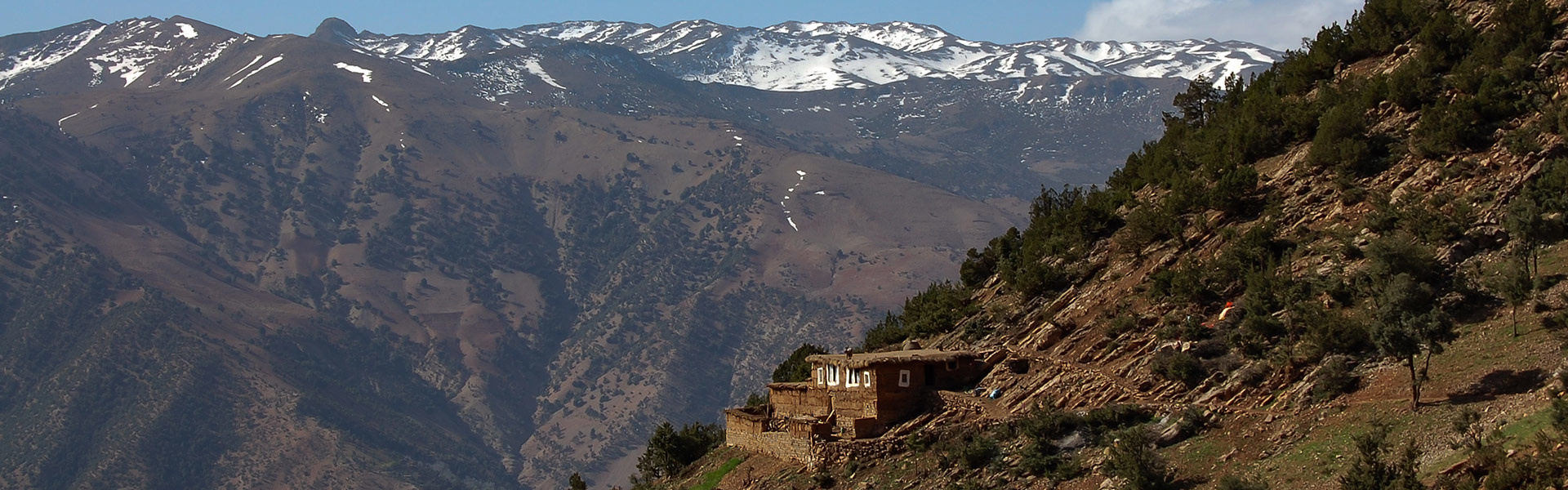 Maroc | Sous l'Acacia