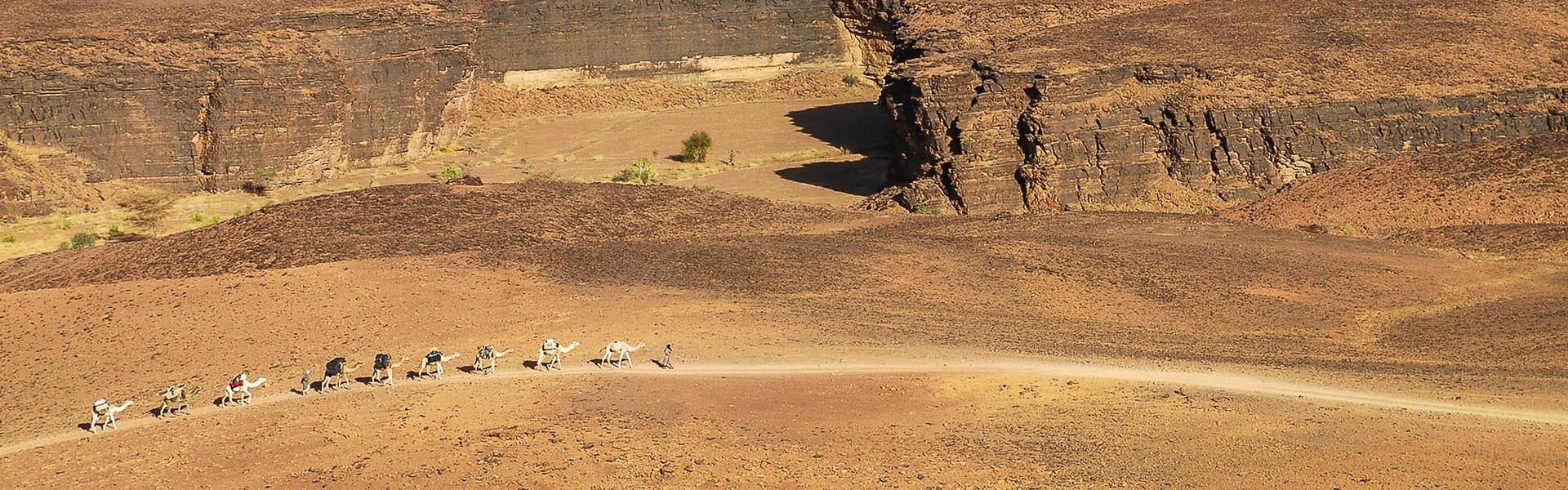 Les balades de l'Adrar | Sous l'Acacia