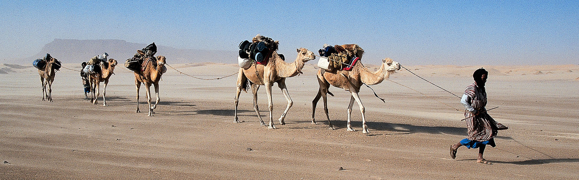 Mauritanie | Sous l'Acacia