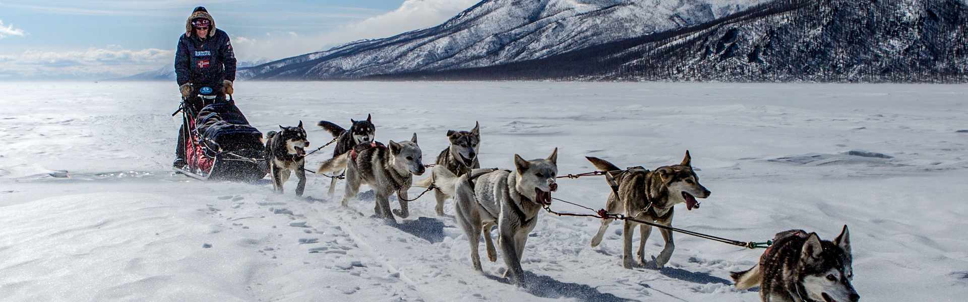 Chiens de traîneaux sur le lac Khuvsgul | Sous l'Acacia