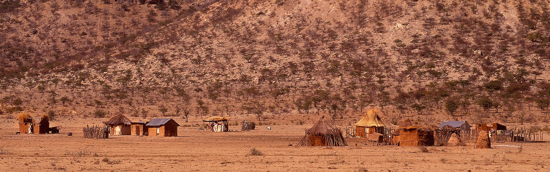Nord-ouest namibien | Sous l'Acacia