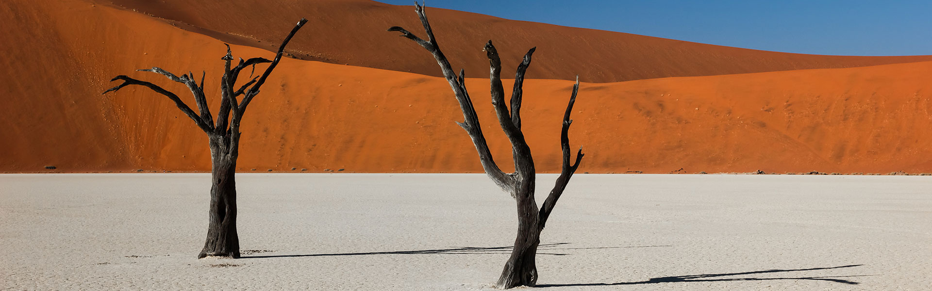 Kulala Desert Lodge | Sous l'Acacia