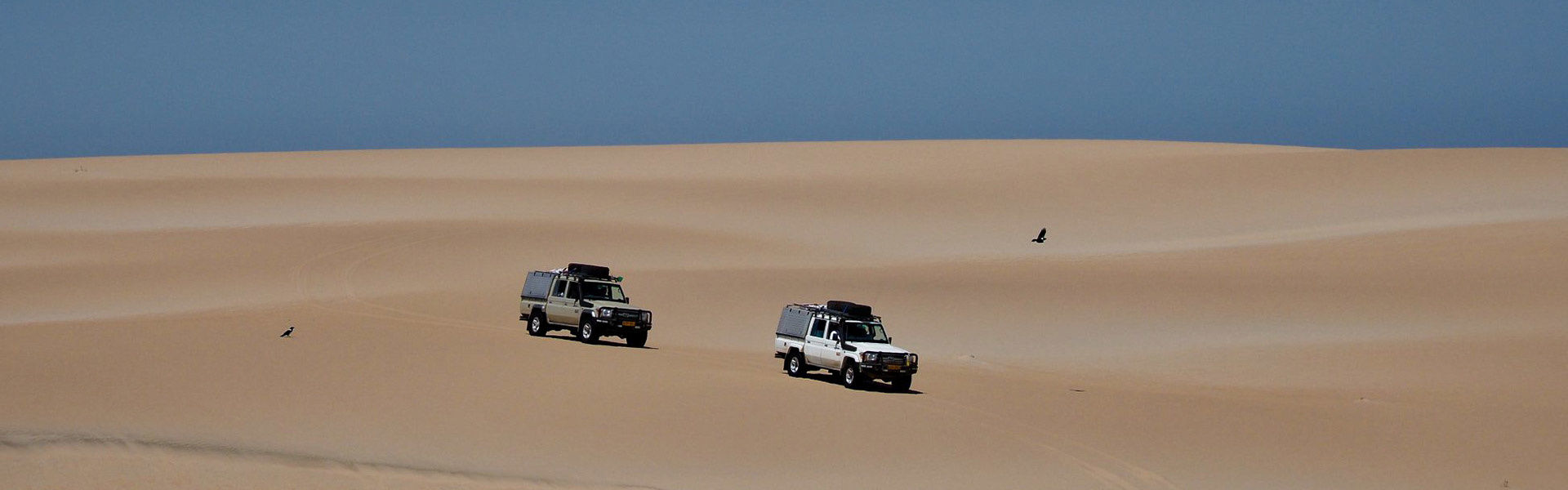 Expédition en Namibie | Sous l'Acacia