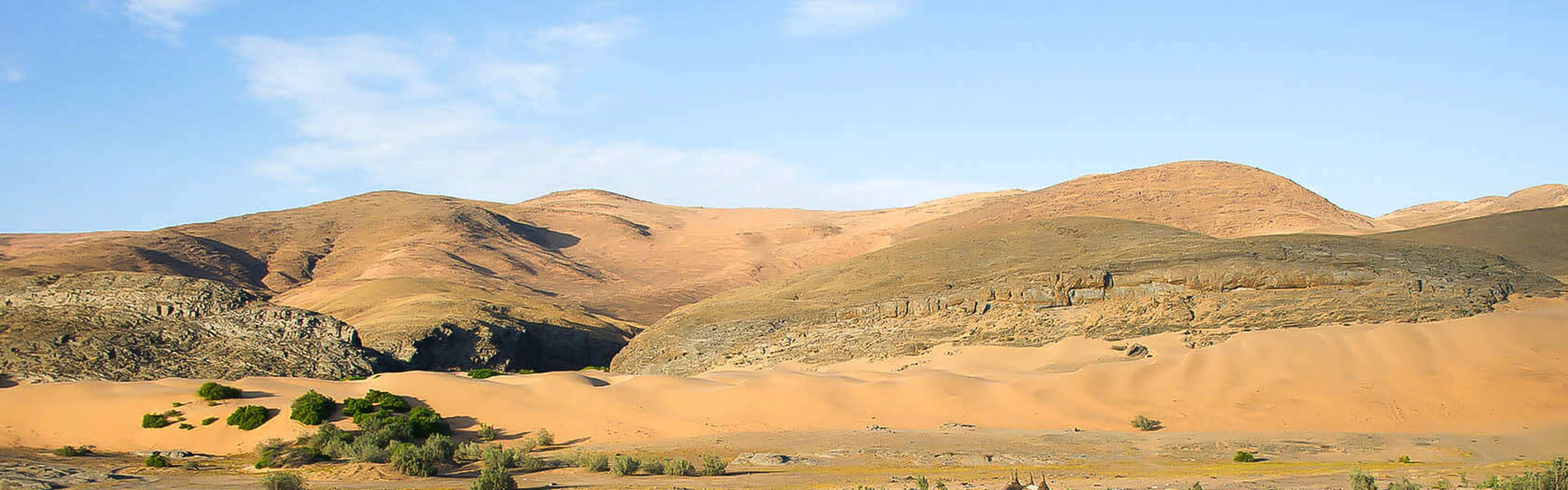 Hoanib & Skeleton Coast | Sous l'Acacia