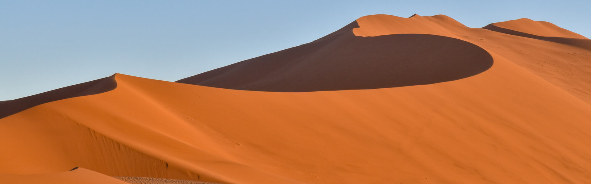 La vie au coeur du Namib | Sous l'Acacia