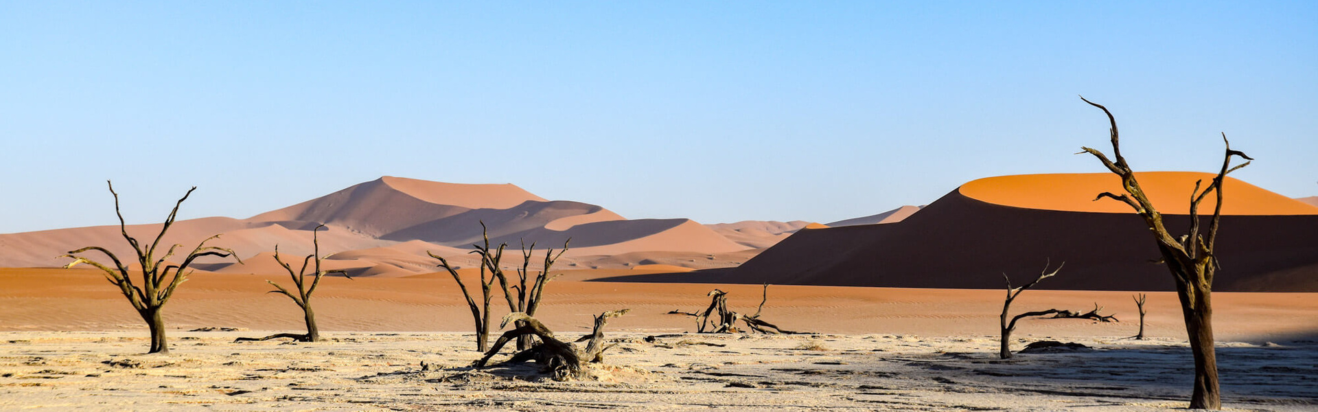 Autotour en Namibie - Lodge ou Camping | Sous l'Acacia