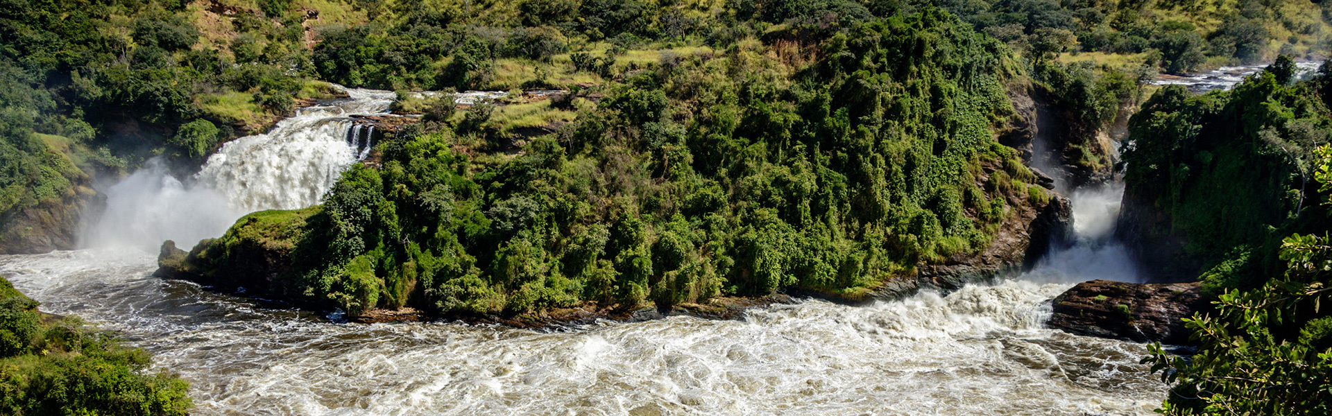 Parc national de Murchison Falls | Sous l'Acacia