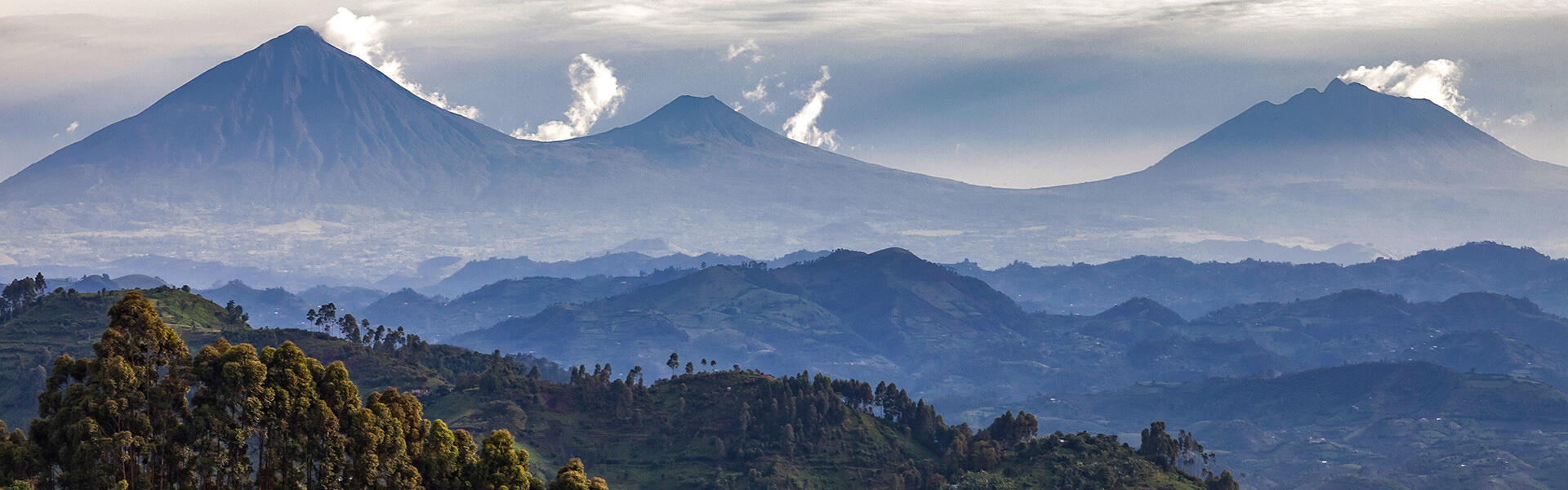 Gorilles, Chimpanzés et lac Kivu | Sous l'Acacia