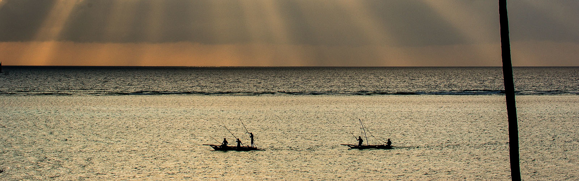 De l'île de Zanzibar au parc de Selous | Sous l'Acacia