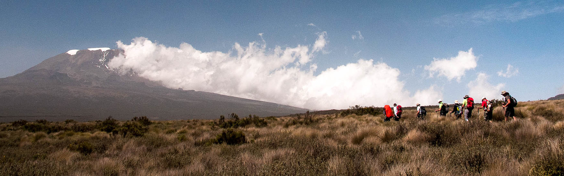 Kilimandjaro par la voie Machame | Sous l'Acacia