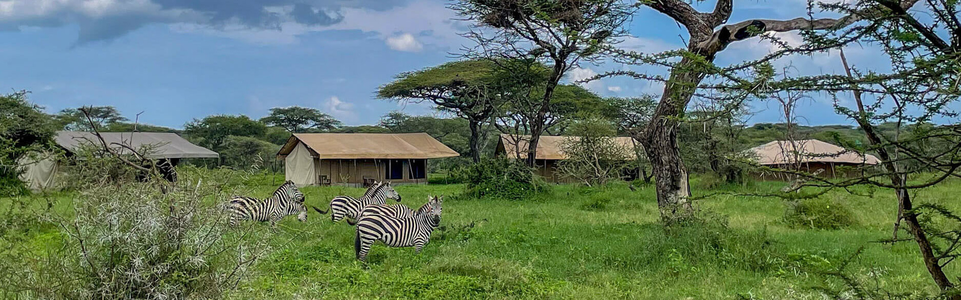 Ndutu Widlands mobile camp | Sous l'Acacia