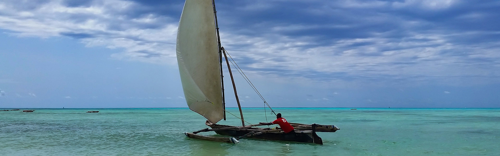 Zanzibar | Sous l'Acacia