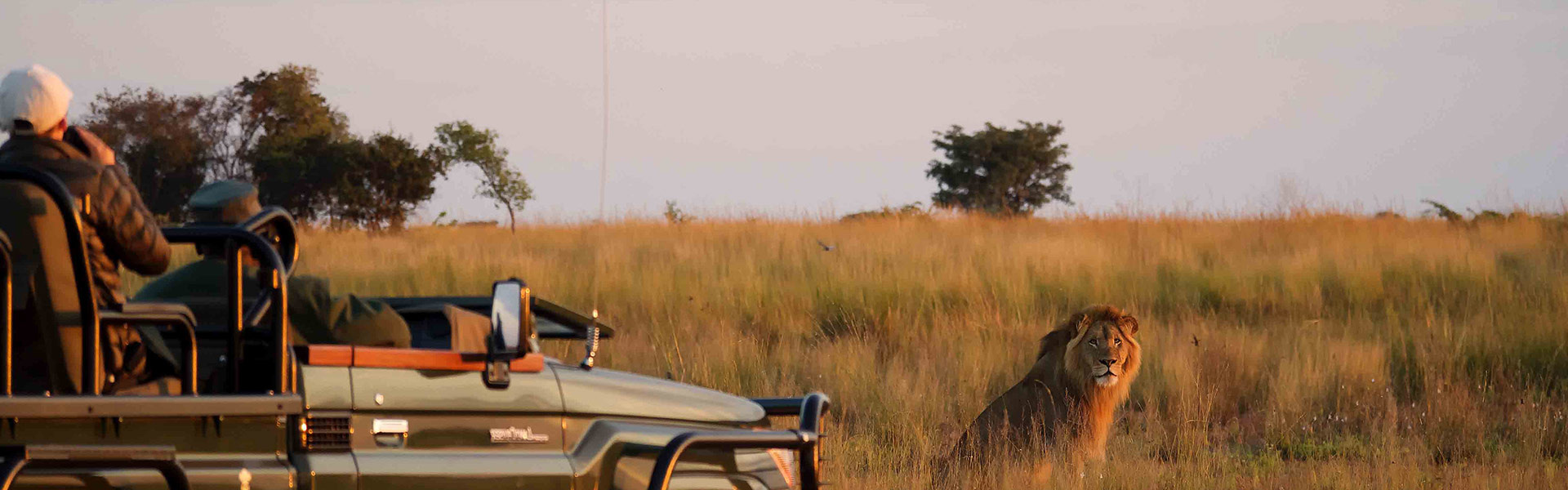 South Luangwa & Liuwa Plains en lodges d'exception | Sous l'Acacia