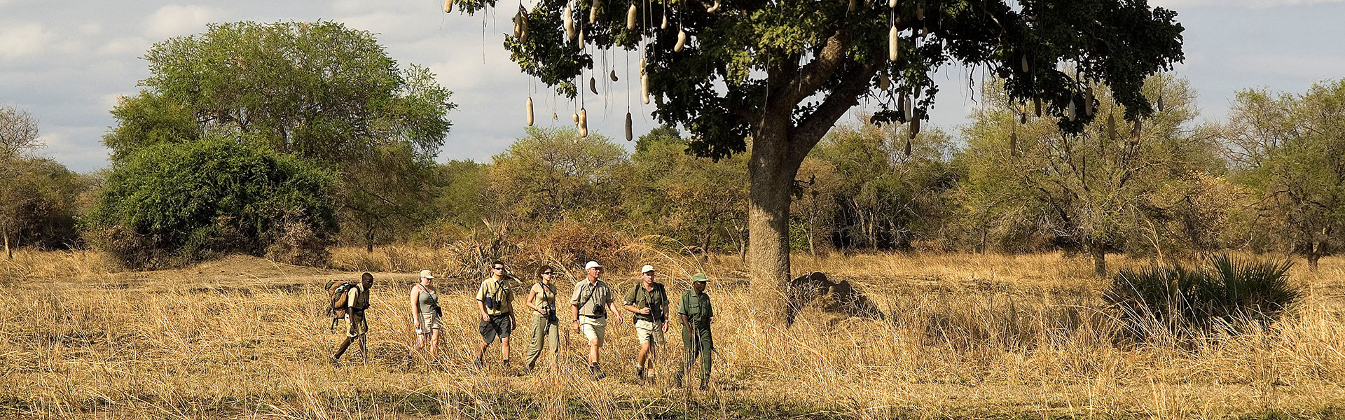 Zambie & Malawi : entre safari et lac | Sous l'Acacia