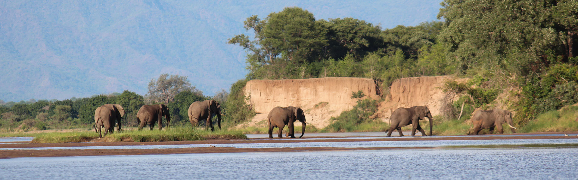 Lune de miel au Zimbabwe & Mozambique | Sous l'Acacia