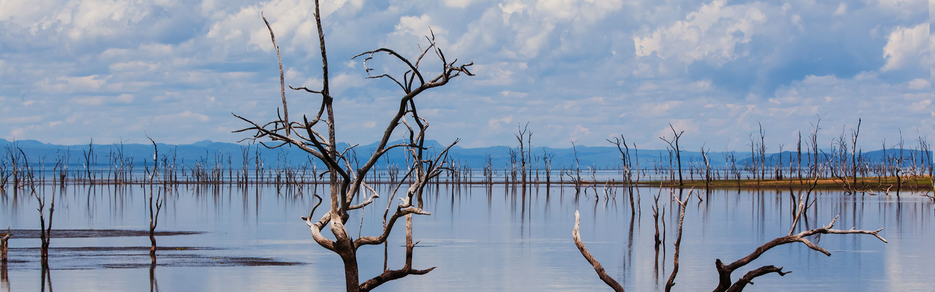 Kariba | Sous l'Acacia