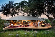 Duba Plains Camp