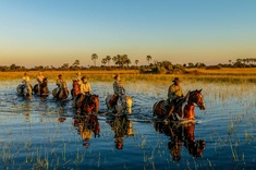 Okavango, sanctuaire de l'Afrique