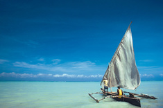 Masaï Mara & les plages de l'Océan Indien