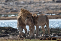 Namibie & Fish River Canyon