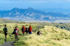 Sentier Masaï, lac Natron & Safari