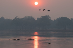 L'essentiel du Zimbabwe & Canoë sur le Zambèze