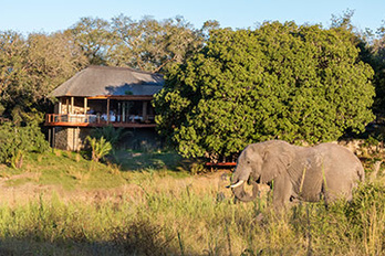 Dulini River Lodge