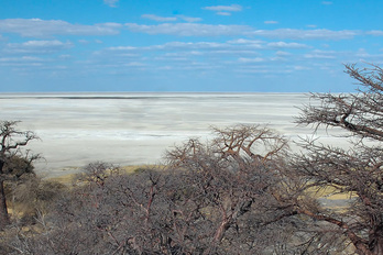 Réserve Makgadikgadi Pans