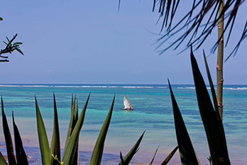 Evasion sur les plages de Mombasa